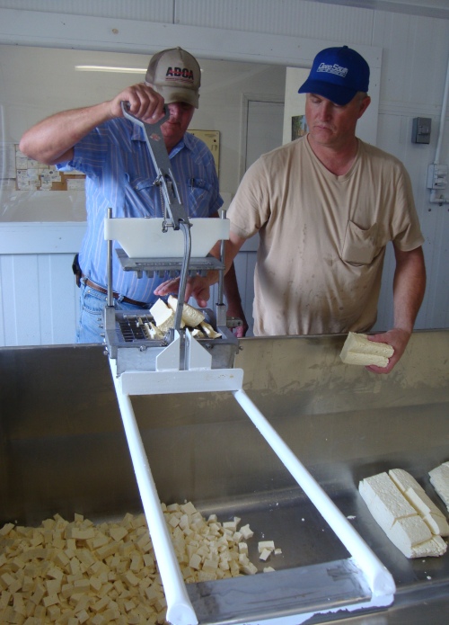 The father and son cut the curds.