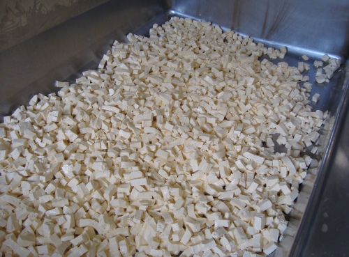 Look at the beautiful curds!