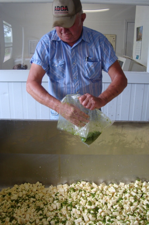 Ray Sr. mixes jalapenos into the curds.